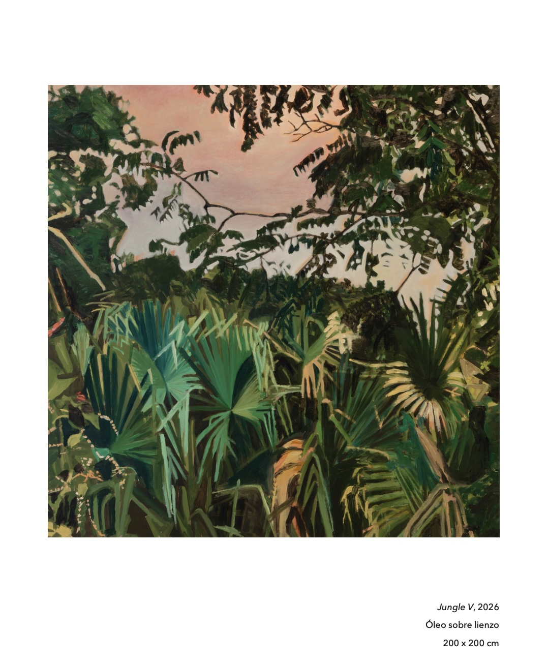 Jungle 15 